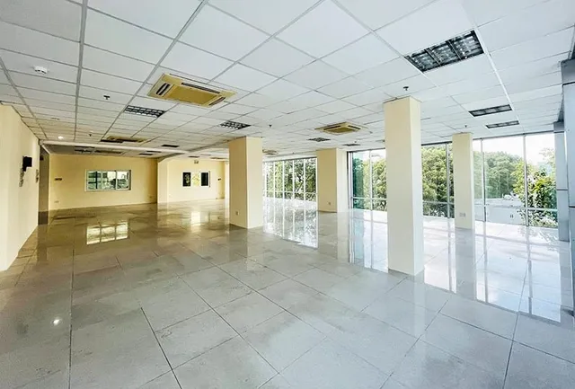 Hà Phan Tôn Thất Tùng