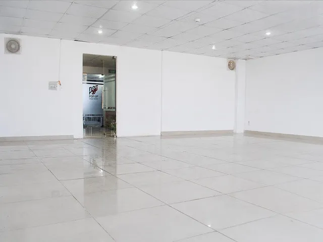 Halo Trần Huy Liệu